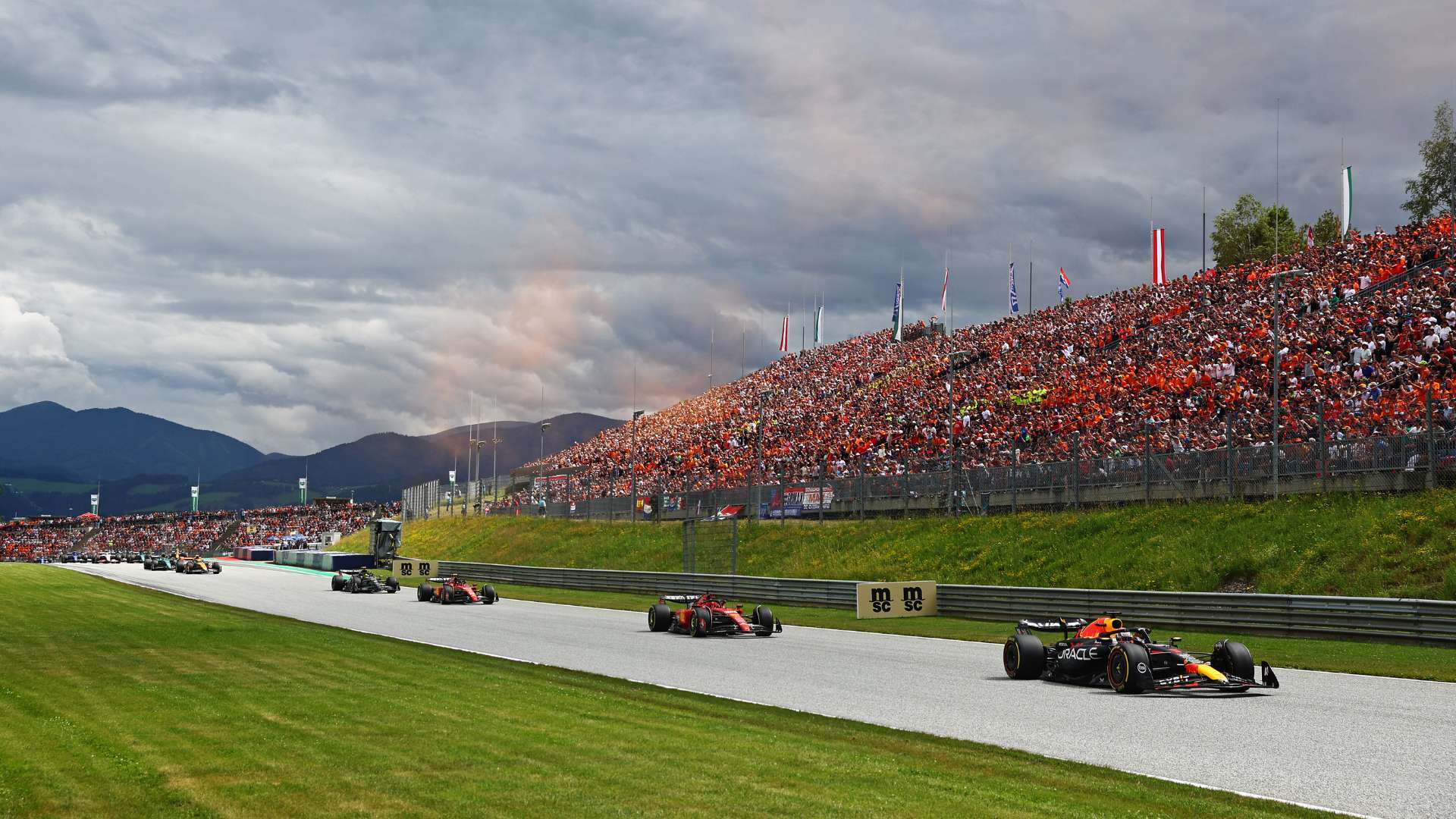 马选择的尊 马选择的尊